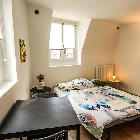 09 Grand Sunny Flat Notre Dame Apartment Paris Exterior photo